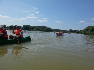 20150605_142602.jpg