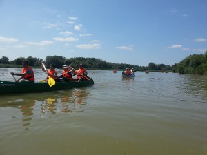 20150605_142558.jpg