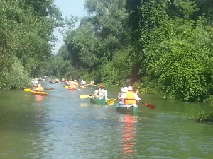 20140704_tisza-to-igyekszunk-tiszavalk-fele.jpg