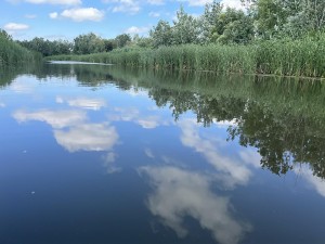 tisza-to-vizitura-455.jpg