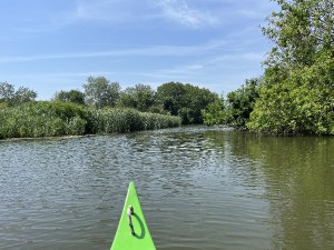 img_3041.jpeg