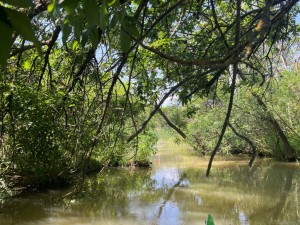img_3114.jpeg