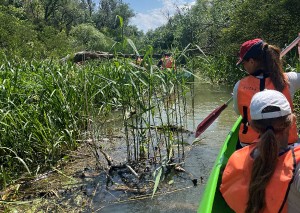 tisza-to-kenutura-846.jpeg