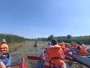 img_20240810_145150.jpg