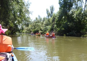 tisza-to-vizitura-2025-753.jpg