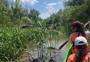 tisza-to-12846.jpeg