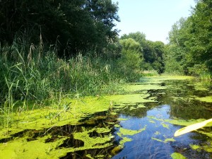 20130821_152908.jpg