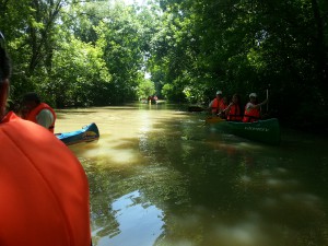 20150605_tisza-to-vizitura-tisza-tavi-kenu.jpg