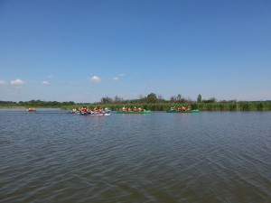 20150516_153259.jpg