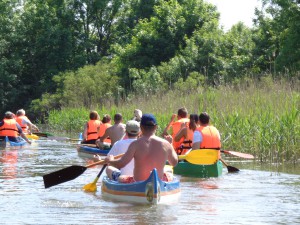 20140615_-tisza-to-vizitura-www.tiszatura-vizitura.eoldal.hu-201.jpg