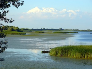 tisza-to-133.jpg