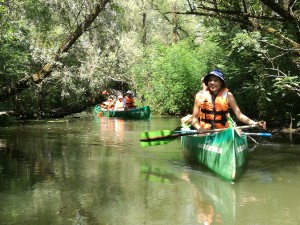 tisza-to-vizitura-tiszatavi-kenutura-20170723_.jpg