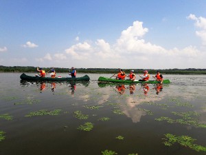 20190615_134149.jpg