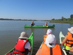 img_1338.jpg