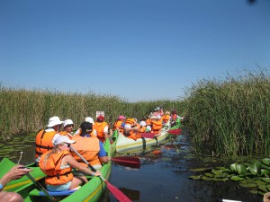 img_2108.jpg