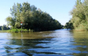 20160914_tisza-to-vizitura-232.jpg