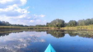 tisza-to-vizitura_20200829-2.jpg