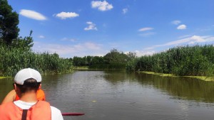 img_20210627_12.jpg