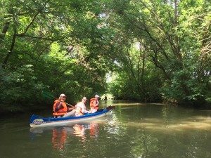 img_9620.jpg