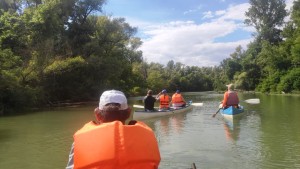 img_20220709_152914.jpg