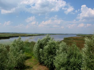 www.tisza-to-vizitura.eoldal.hu-tisza-to-borzonat.jpg