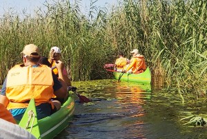 tisza-to-vizitura-20230715_161.jpg
